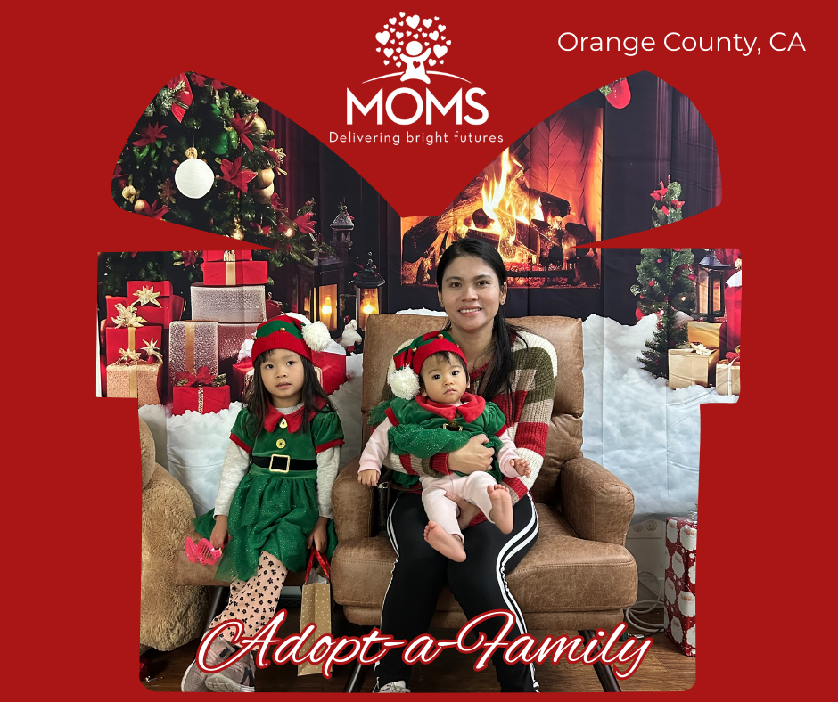 1 Holiday Adopt-a-Family